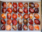 Polished Carnelian Agate Gemstone Galets x 35 From Madagascar - Toprock Gemstones and Minerals 