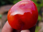 Polished Carnelian Agate Gemstone Galets x 35 From Madagascar - Toprock Gemstones and Minerals 