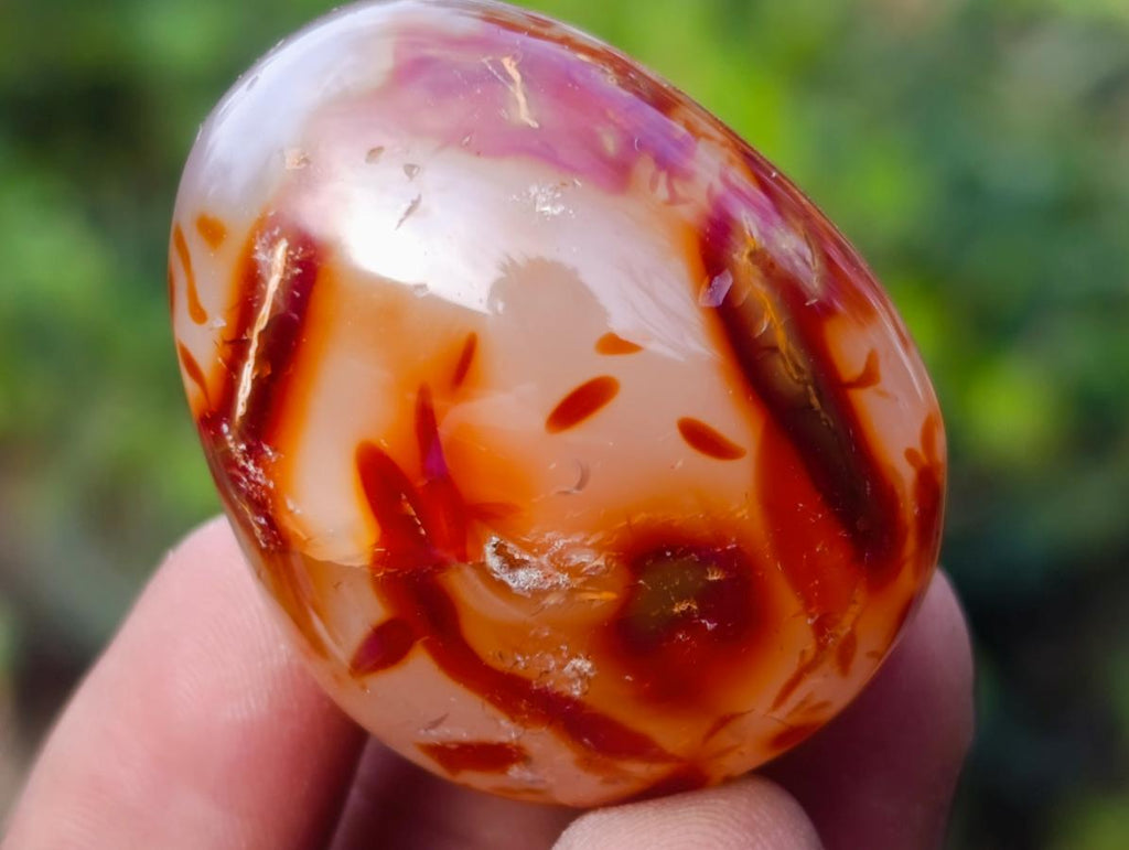 Polished Carnelian Agate Gemstone Galets x 35 From Madagascar - Toprock Gemstones and Minerals 