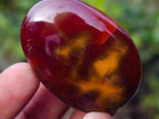 Polished Carnelian Agate Gemstone Galets x 35 From Madagascar - Toprock Gemstones and Minerals 