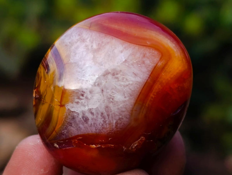Polished Carnelian Agate Gemstone Galets x 35 From Madagascar - Toprock Gemstones and Minerals 