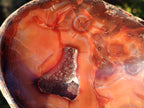 Polished Carnelian Agate Gemstone Bowls x 6 From Madagascar - Toprock Gemstones and Minerals 