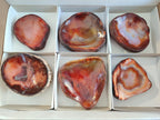 Polished Carnelian Agate Gemstone Bowls x 6 From Madagascar - Toprock Gemstones and Minerals 