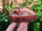 Polished Carnelian Agate Gemstone Bowls x 6 From Madagascar - Toprock Gemstones and Minerals 