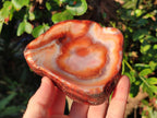 Polished Carnelian Agate Gemstone Bowls x 6 From Madagascar - Toprock Gemstones and Minerals 