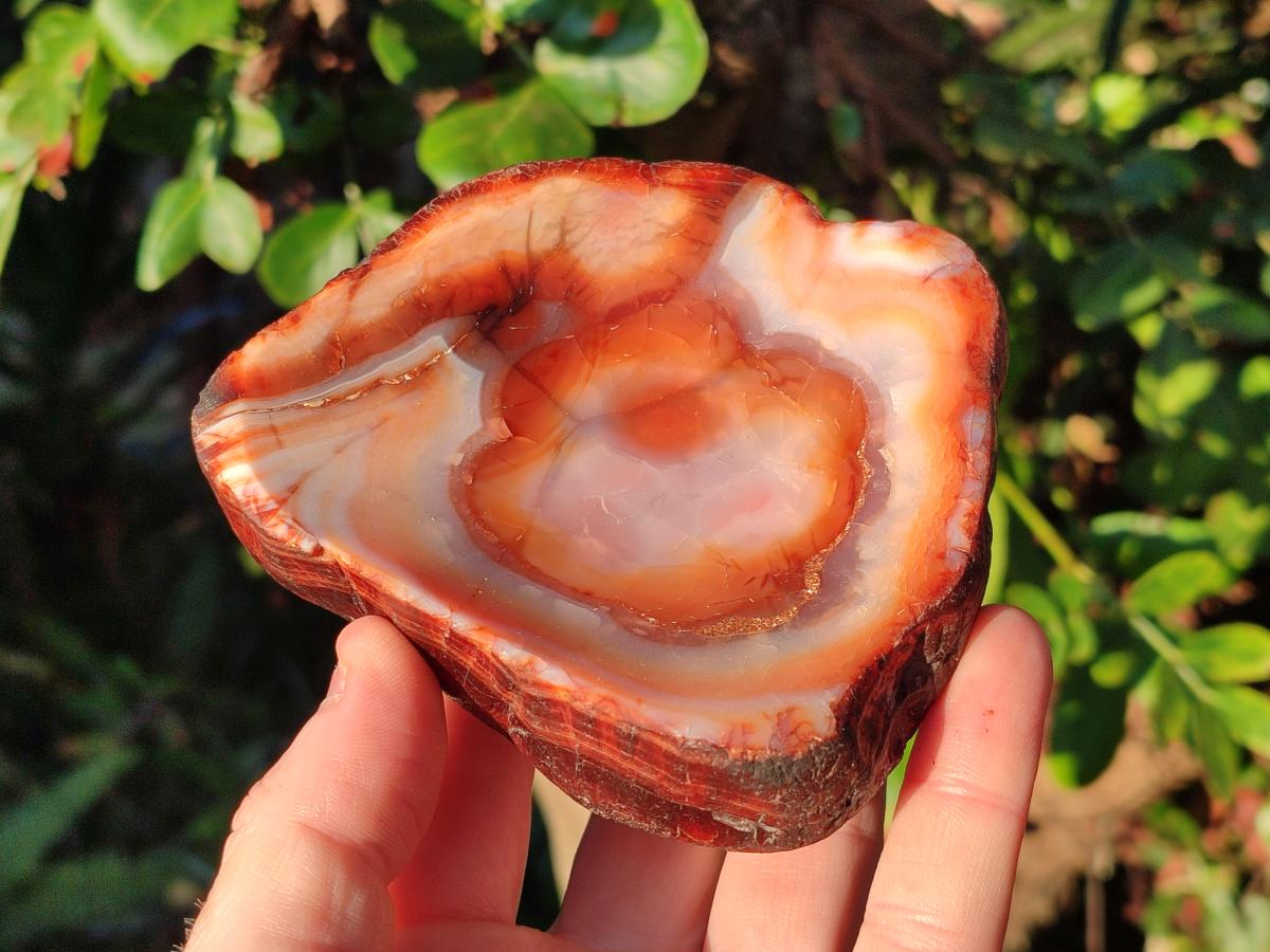 Polished Carnelian Agate Gemstone Bowls x 6 From Madagascar - Toprock Gemstones and Minerals 