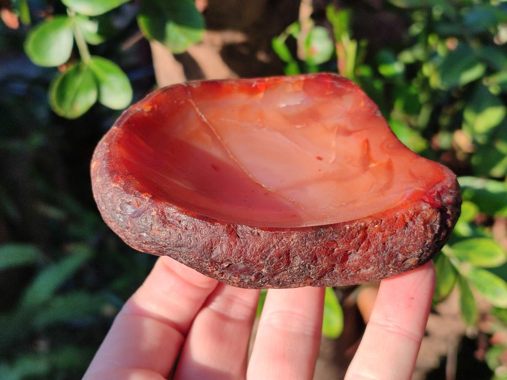 Polished Carnelian Agate Gemstone Bowls x 6 From Madagascar - Toprock Gemstones and Minerals 