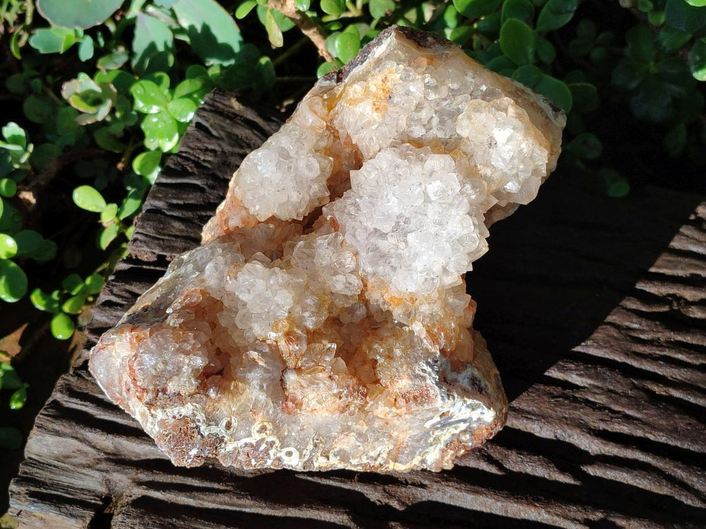 Natural Large Stalagmitic Agate with Cristobalite x 1 From Didi, Madagascar - Toprock Gemstones and Minerals 