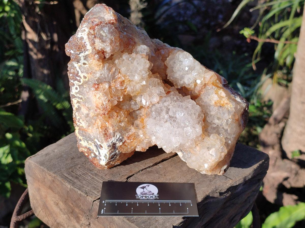 Natural Large Stalagmitic Agate with Cristobalite x 1 From Didi, Madagascar - Toprock Gemstones and Minerals 