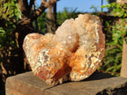 Natural Large Stalagmitic Agate with Cristobalite x 1 From Didi, Madagascar - Toprock Gemstones and Minerals 