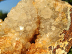 Natural Large Stalagmitic Agate with Cristobalite x 1 From Didi, Madagascar - Toprock Gemstones and Minerals 