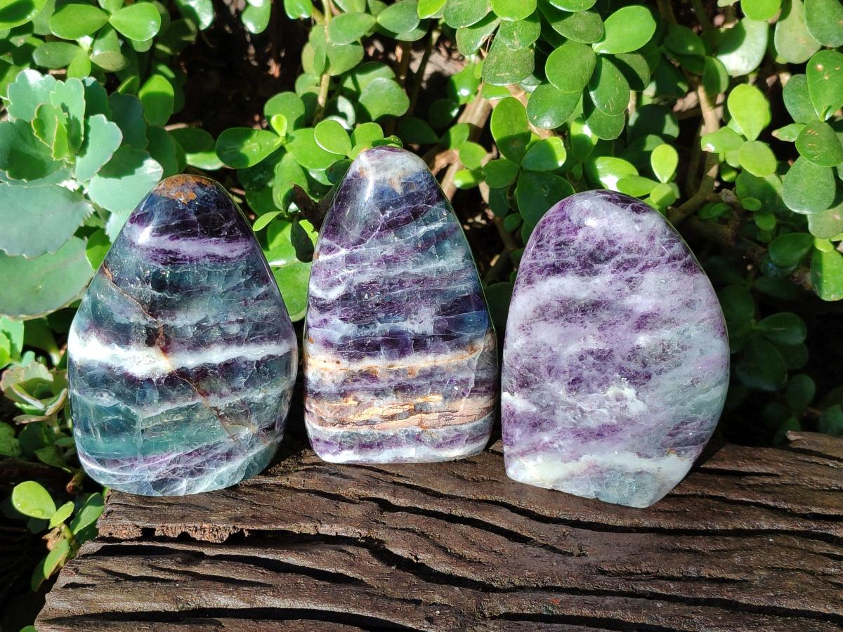 Polished Watermelon Fluorite Standing Display Pieces x 3 From Uis, Namibia - Toprock Gemstones and Minerals 