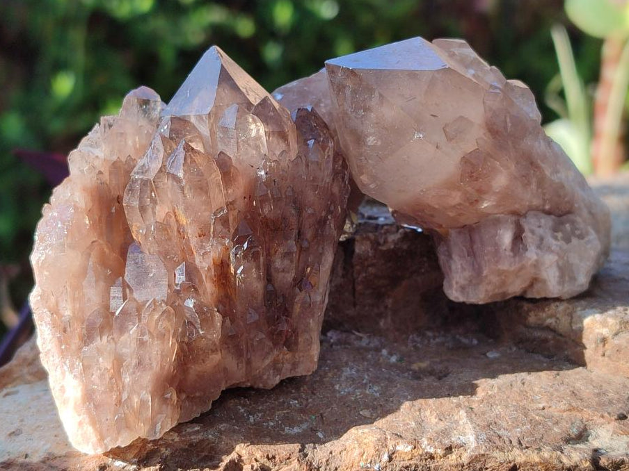 Natural Smokey Luena Quartz Crystals and Clusters x 36 From Luena, Congo - Toprock Gemstones and Minerals 