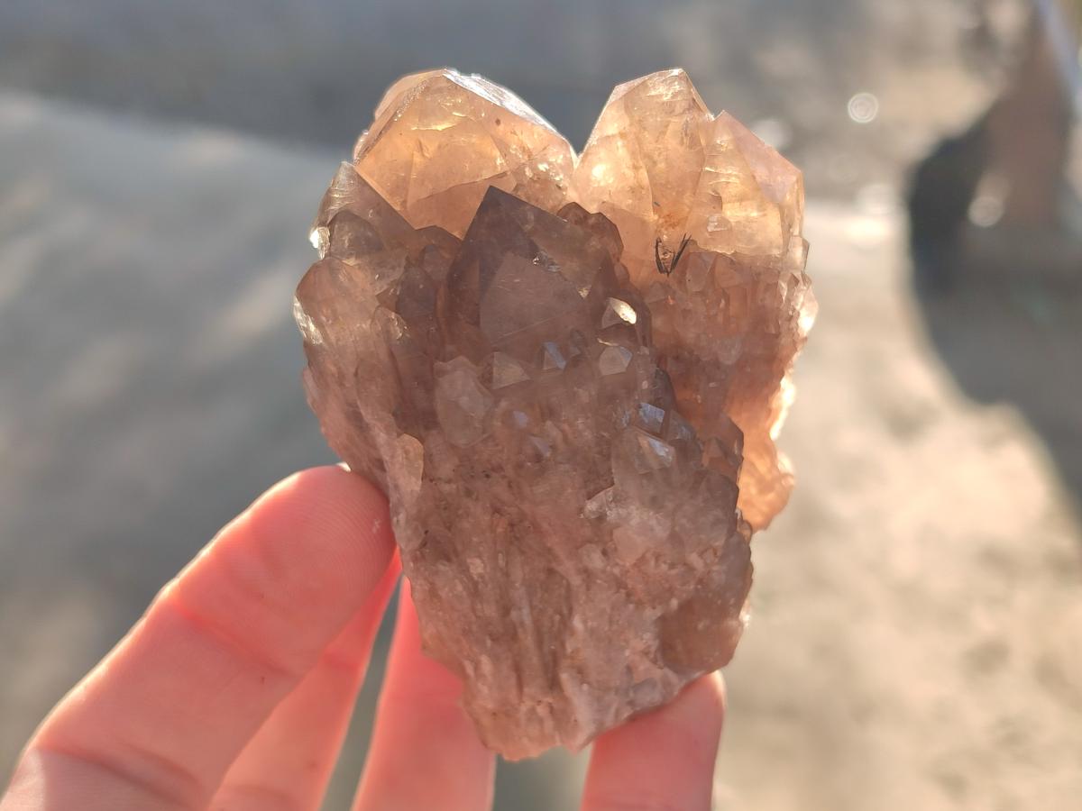 Natural Smokey Luena Quartz Crystals and Clusters x 36 From Luena, Congo - Toprock Gemstones and Minerals 