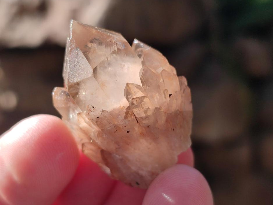 Natural Smokey Luena Quartz Crystals and Clusters x 36 From Luena, Congo - Toprock Gemstones and Minerals 