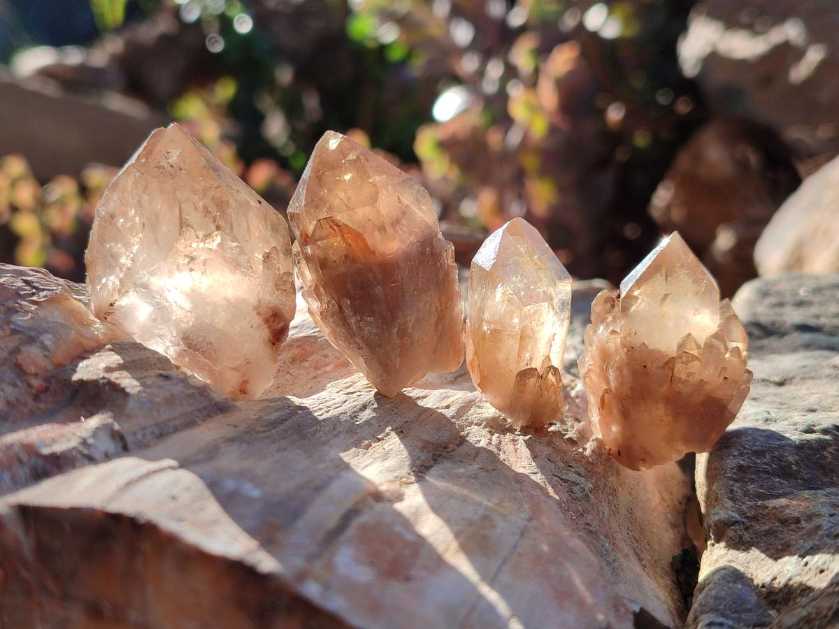 Natural Smokey Luena Quartz Crystals and Clusters x 36 From Luena, Congo - Toprock Gemstones and Minerals 