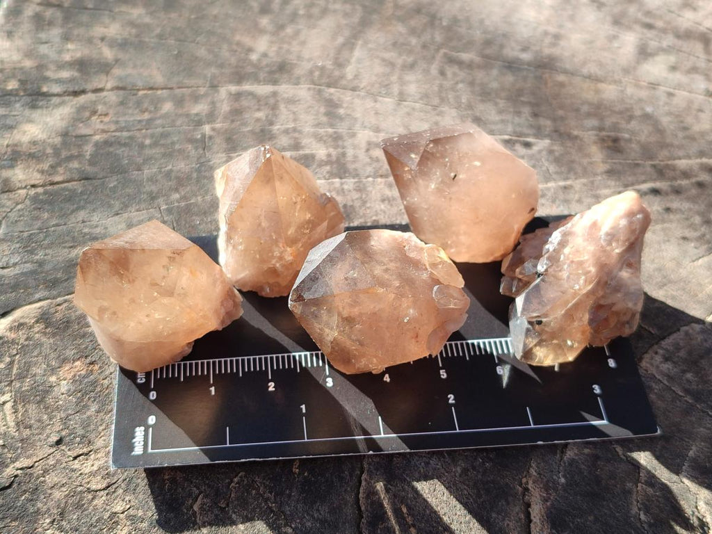 Natural Smokey Luena Quartz Crystals and Clusters x 36 From Luena, Congo - Toprock Gemstones and Minerals 