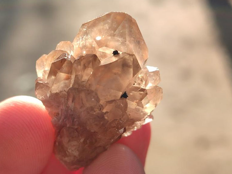 Natural Smokey Luena Quartz Crystals and Clusters x 36 From Luena, Congo - Toprock Gemstones and Minerals 