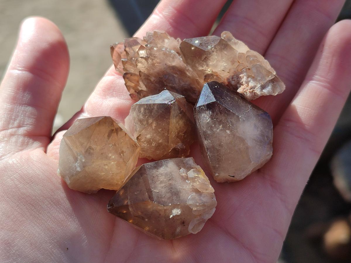Natural Smokey Luena Quartz Crystals and Clusters x 36 From Luena, Congo - Toprock Gemstones and Minerals 
