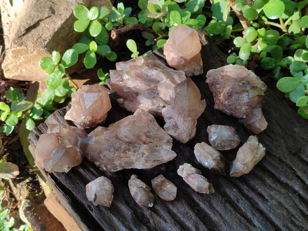 Natural Smokey Luena Quartz Crystals and Clusters x 36 From Luena, Congo - Toprock Gemstones and Minerals 