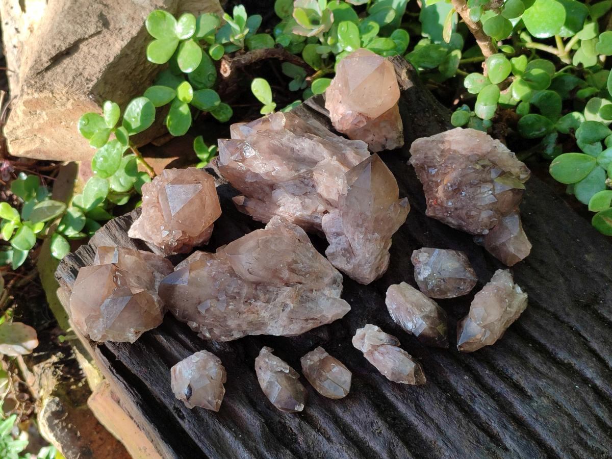 Natural Smokey Luena Quartz Crystals and Clusters x 36 From Luena, Congo - Toprock Gemstones and Minerals 