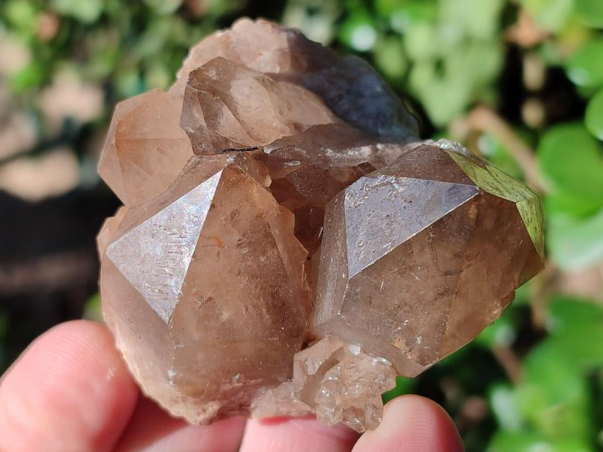 Natural Smokey Luena Quartz Crystals and Clusters x 36 From Luena, Congo - Toprock Gemstones and Minerals 