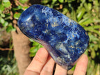 Polished Dumortierite Standing Display Pieces x 6 From Madagascar - Toprock Gemstones and Minerals 