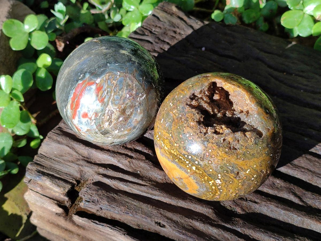Polished Ocean Jasper Spheres x 2 From Northwest Coast, Madagascar - Toprock Gemstones and Minerals 