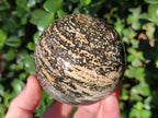 Polished Ocean Jasper Spheres x 2 From Northwest Coast, Madagascar - Toprock Gemstones and Minerals 