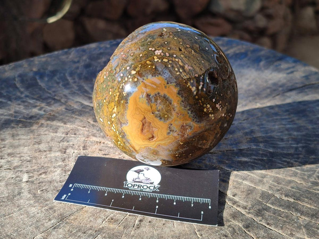 Polished Ocean Jasper Spheres x 2 From Northwest Coast, Madagascar - Toprock Gemstones and Minerals 