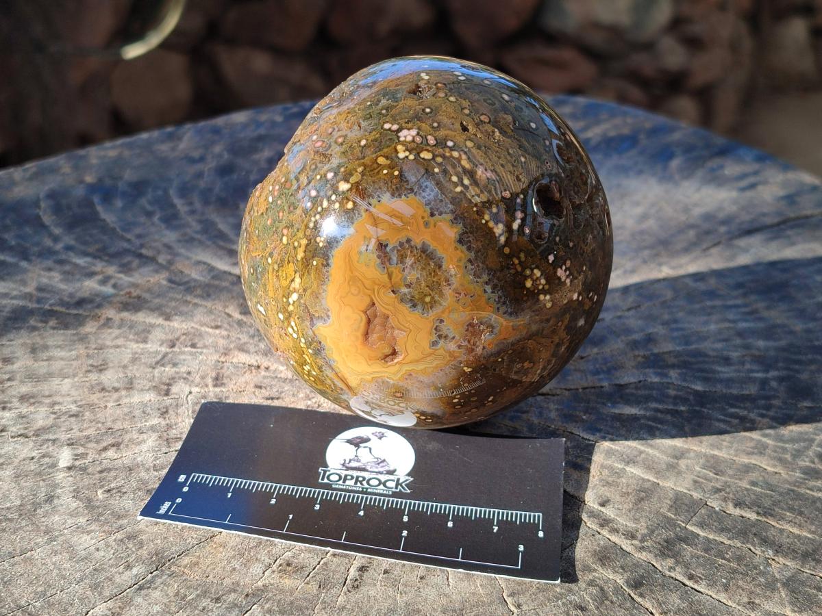 Polished Ocean Jasper Spheres x 2 From Northwest Coast, Madagascar - Toprock Gemstones and Minerals 