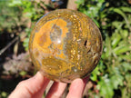 Polished Ocean Jasper Spheres x 2 From Northwest Coast, Madagascar - Toprock Gemstones and Minerals 