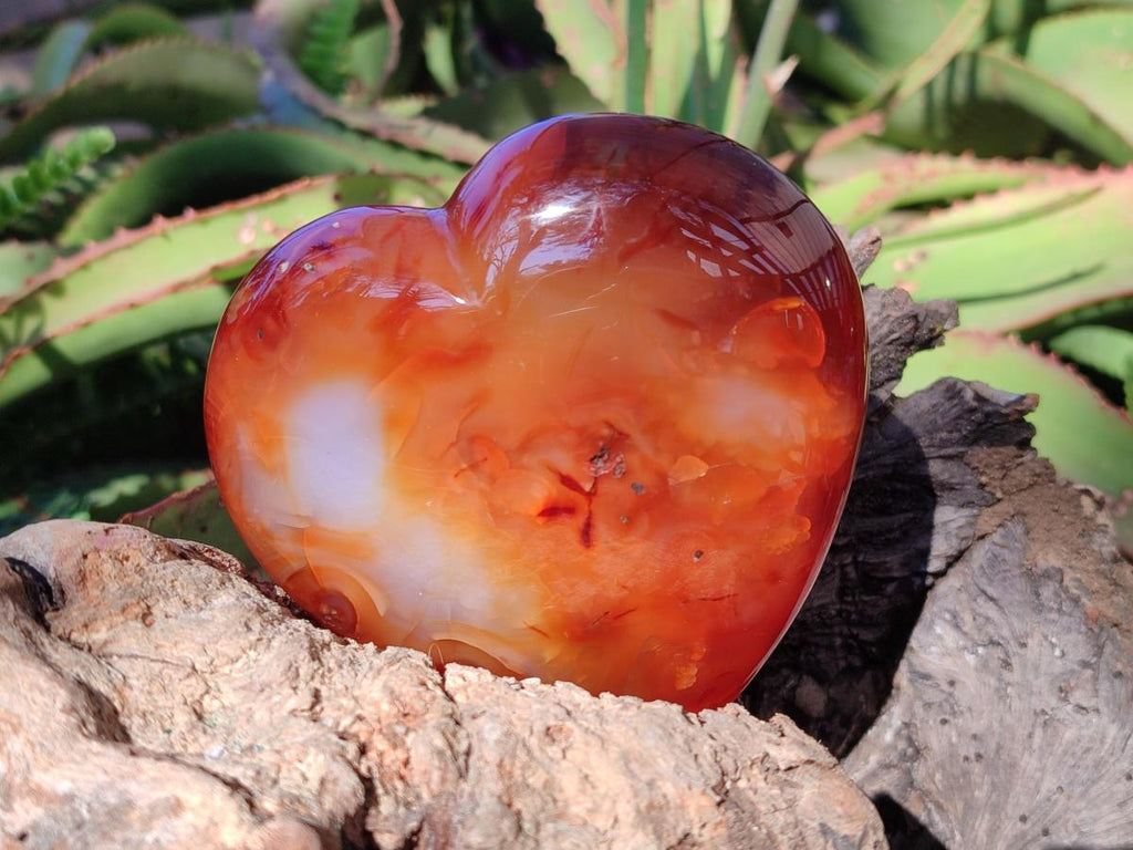 Polished Carnelian Agate Gemstone Hearts x 4 From Madagascar - Toprock Gemstones and Minerals 