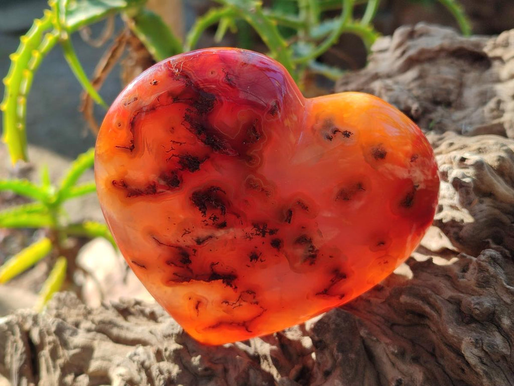 Polished Carnelian Agate Gemstone Hearts x 4 From Madagascar - Toprock Gemstones and Minerals 