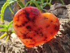 Polished Carnelian Agate Gemstone Hearts x 4 From Madagascar - Toprock Gemstones and Minerals 