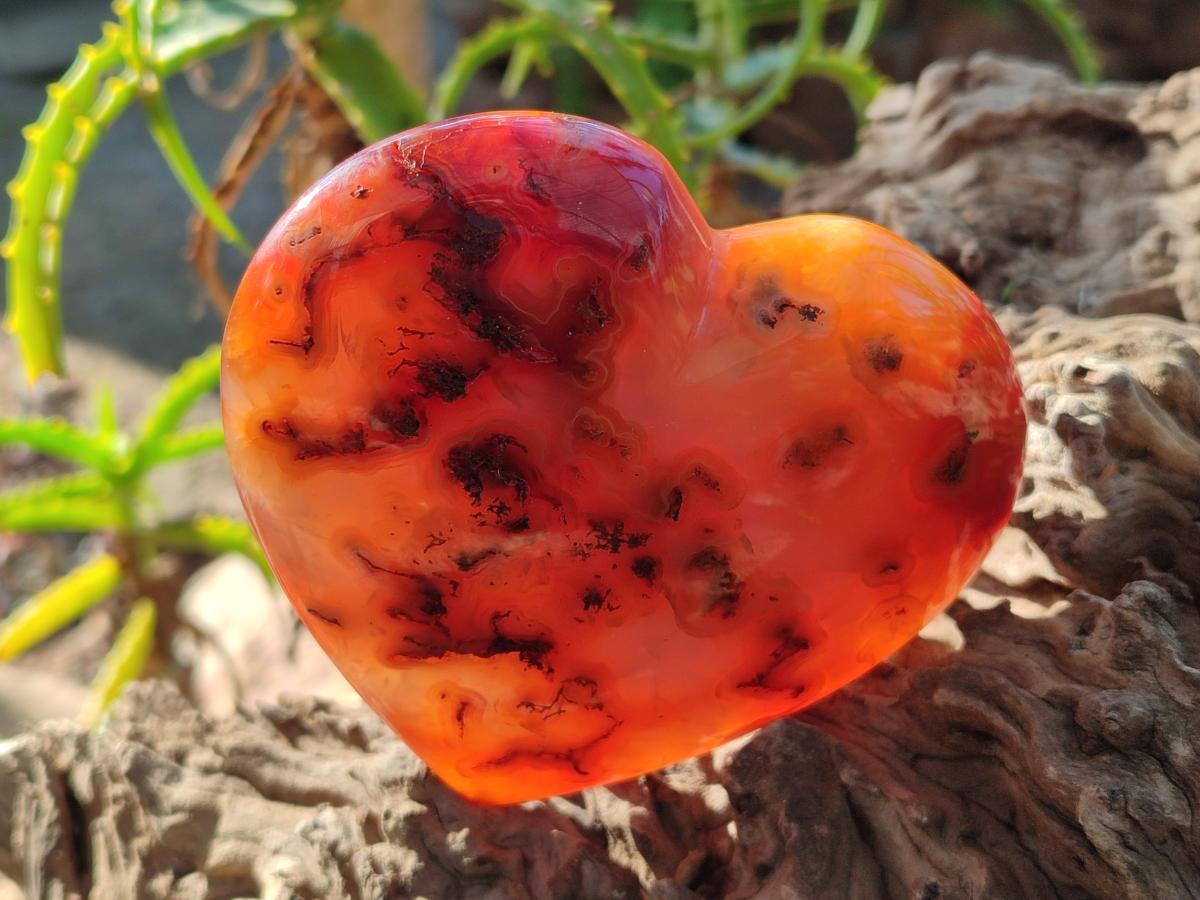 Polished Carnelian Agate Gemstone Hearts x 4 From Madagascar - Toprock Gemstones and Minerals 