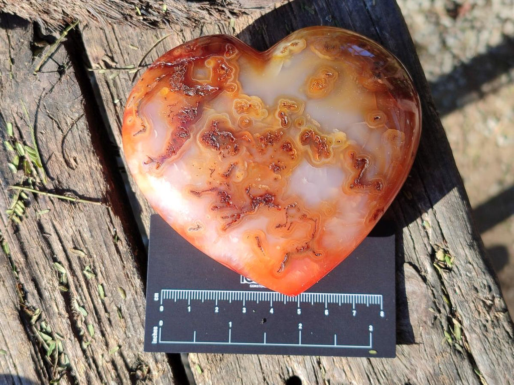Polished Carnelian Agate Gemstone Hearts x 4 From Madagascar - Toprock Gemstones and Minerals 