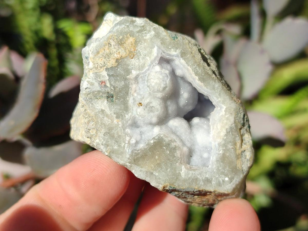 Polished On One Side Blue Lace Agate Geodes x 24 From Nsanje, Malawi - Toprock Gemstones and Minerals 