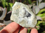 Polished On One Side Blue Lace Agate Geodes x 24 From Nsanje, Malawi - Toprock Gemstones and Minerals 