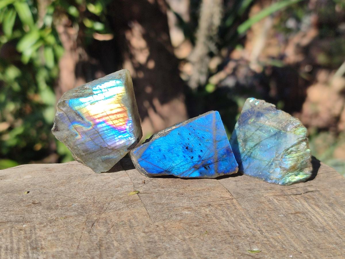 Polished One Side Labradorite Slices x 70 From Madagascar - Toprock Gemstones and Minerals 