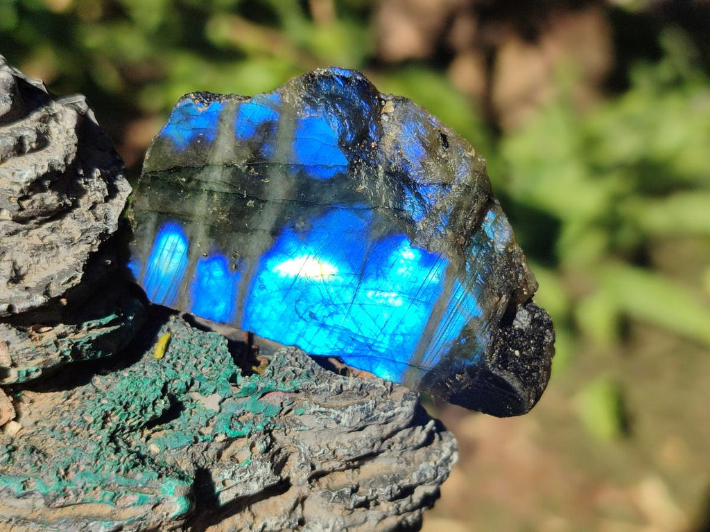 Polished One Side Labradorite Slices x 70 From Madagascar - Toprock Gemstones and Minerals 