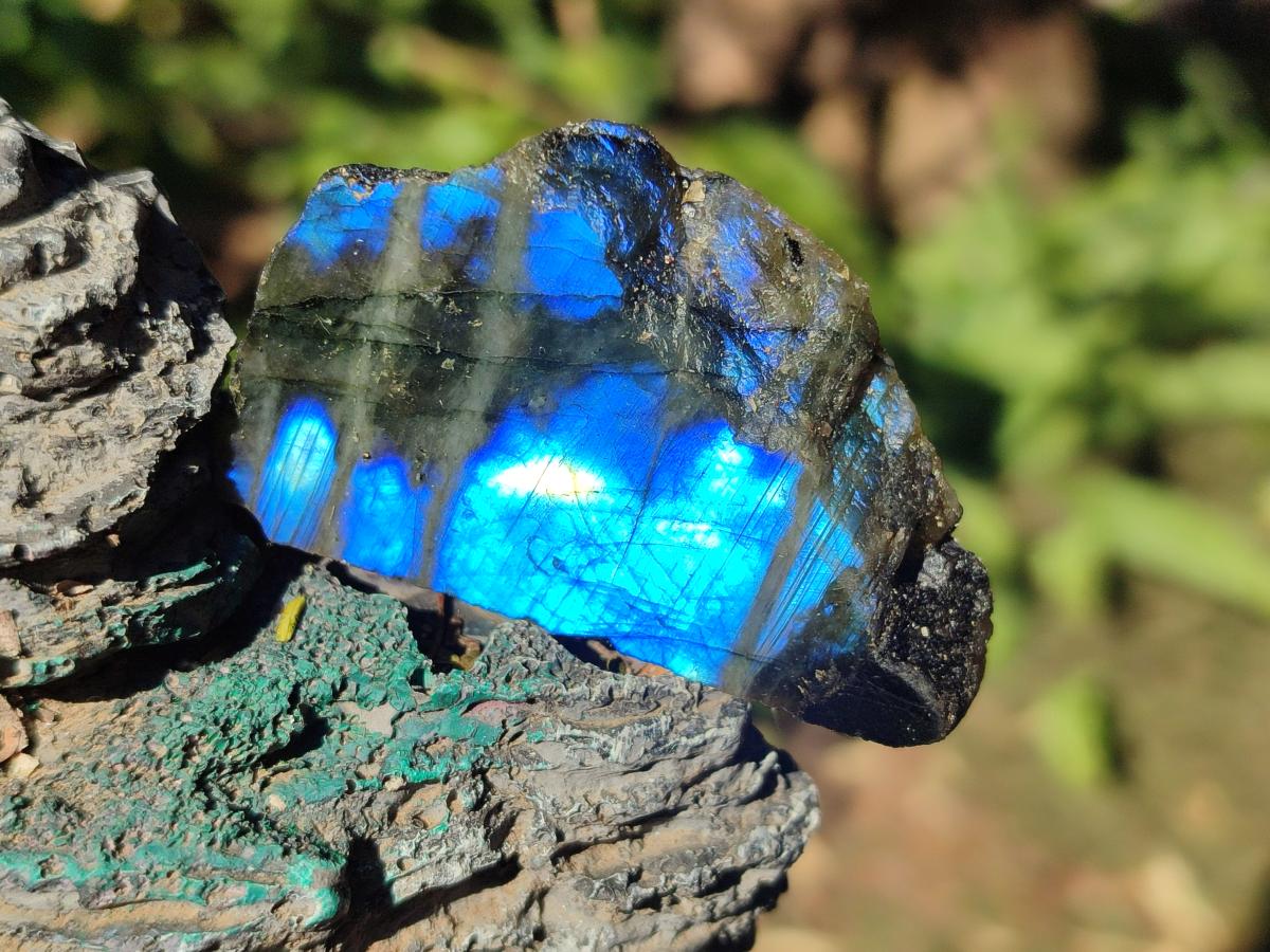 Polished One Side Labradorite Slices x 70 From Madagascar - Toprock Gemstones and Minerals 