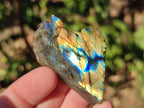 Polished One Side Labradorite Slices x 70 From Madagascar - Toprock Gemstones and Minerals 