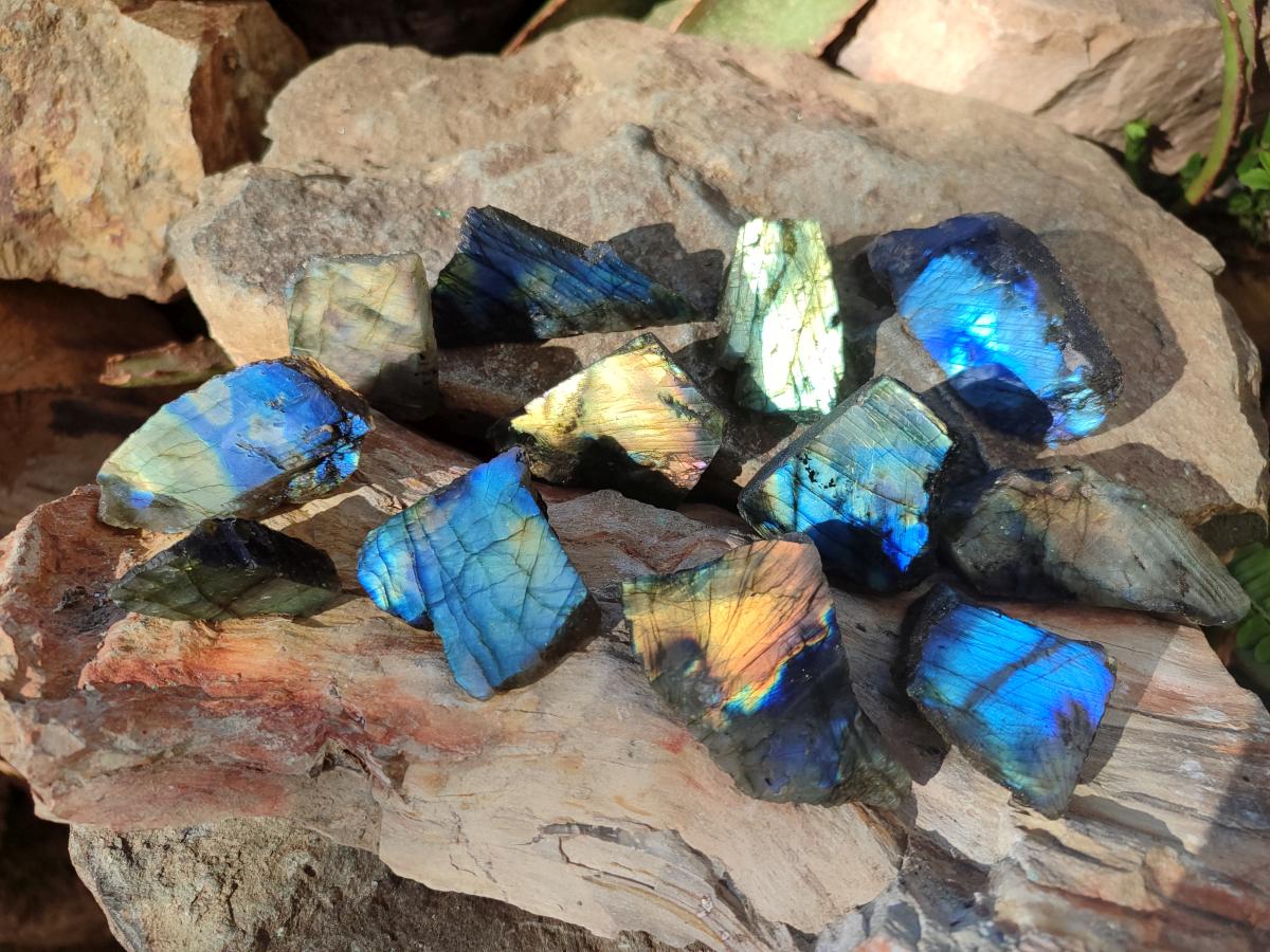 Polished One Side Labradorite Slices x 70 From Madagascar - Toprock Gemstones and Minerals 