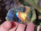 Polished One Side Labradorite Slices x 70 From Madagascar - Toprock Gemstones and Minerals 