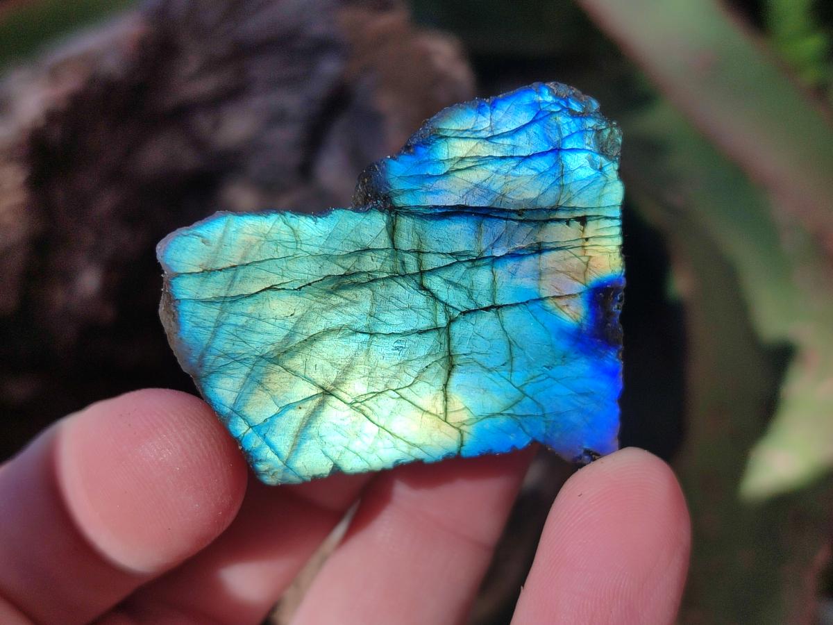 Polished One Side Labradorite Slices x 70 From Madagascar - Toprock Gemstones and Minerals 