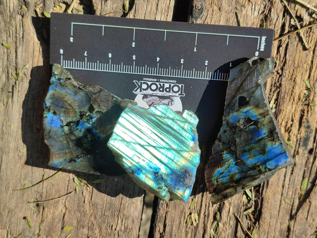 Polished One Side Labradorite Slices x 70 From Madagascar - Toprock Gemstones and Minerals 