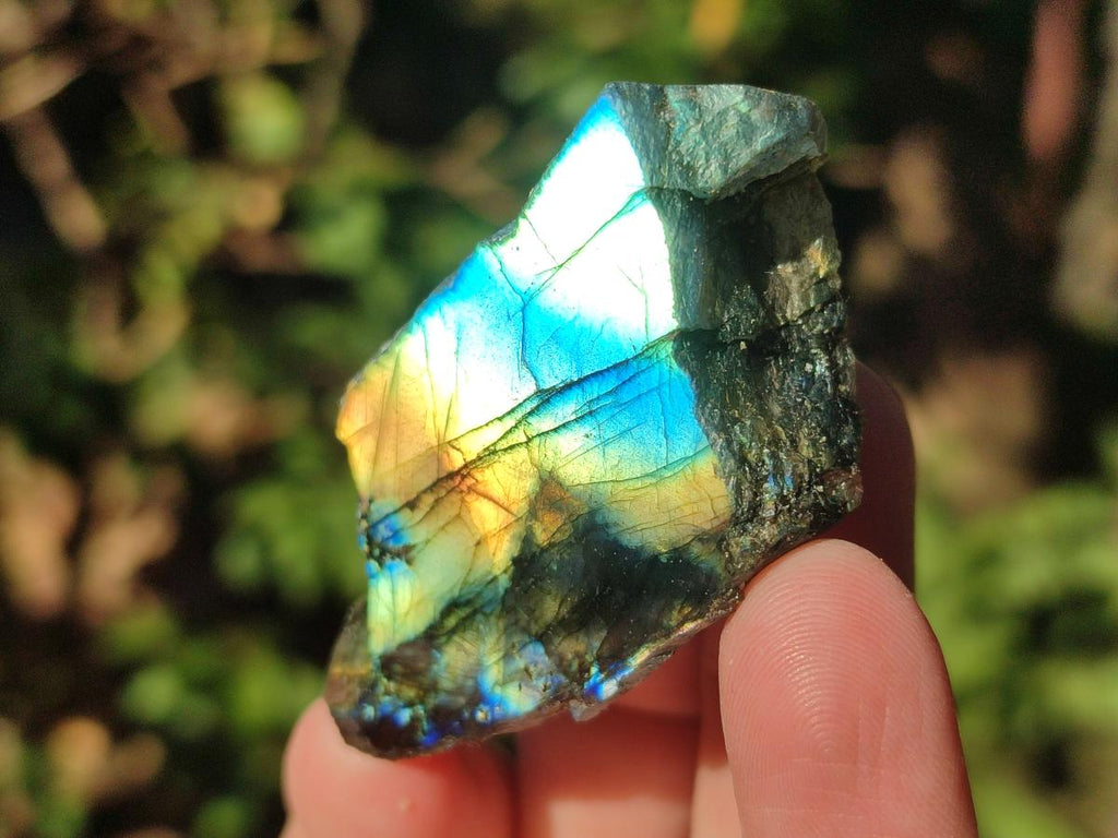 Polished One Side Labradorite Slices x 70 From Madagascar - Toprock Gemstones and Minerals 