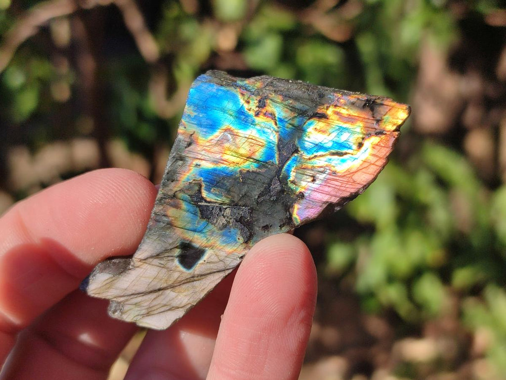 Polished One Side Labradorite Slices x 70 From Madagascar - Toprock Gemstones and Minerals 