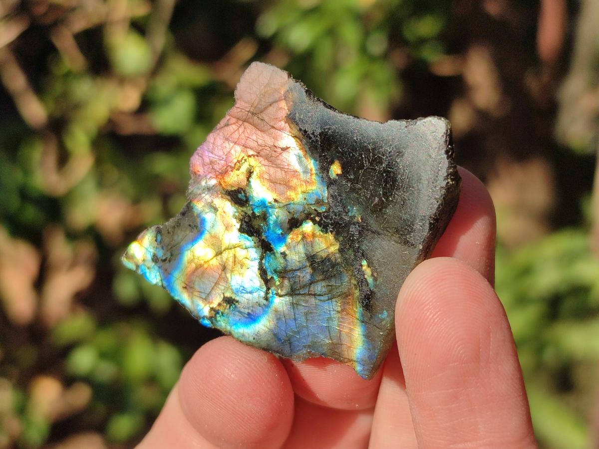 Polished One Side Labradorite Slices x 70 From Madagascar - Toprock Gemstones and Minerals 